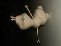 wp_20151201_002.jpg